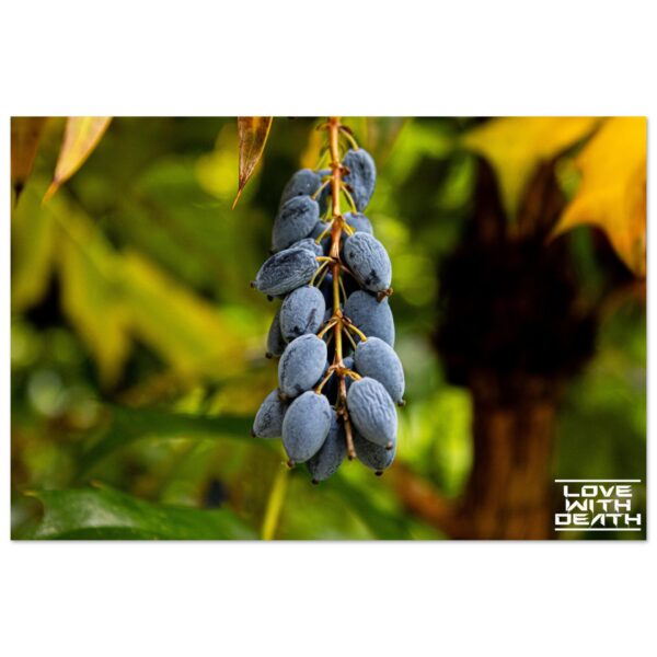 8cebf9e6-cbee-4c04-a863-b75979c0b482