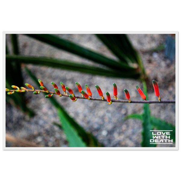 91aa78e3-ef52-46bf-b078-110364bb8b84