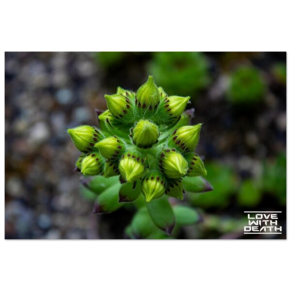 953e32a7-d655-490c-bf11-fa0a28ea28f1