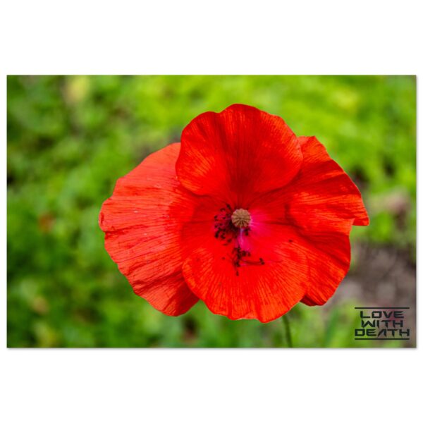 98a62f38-f681-47bb-9426-aa783fd3c869