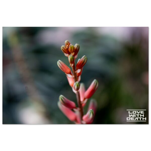 9ca57805-bb33-42ab-99a1-0efc12fb11b8