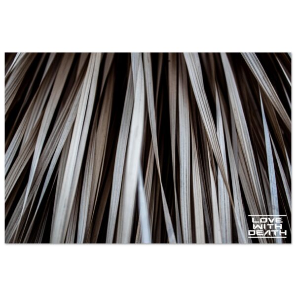 a1c18cd7-da59-4e49-bded-c2450c9916d0