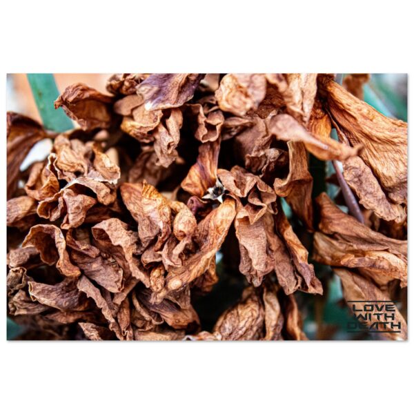 a23733fb-93ee-4431-8edd-d2347ac26924