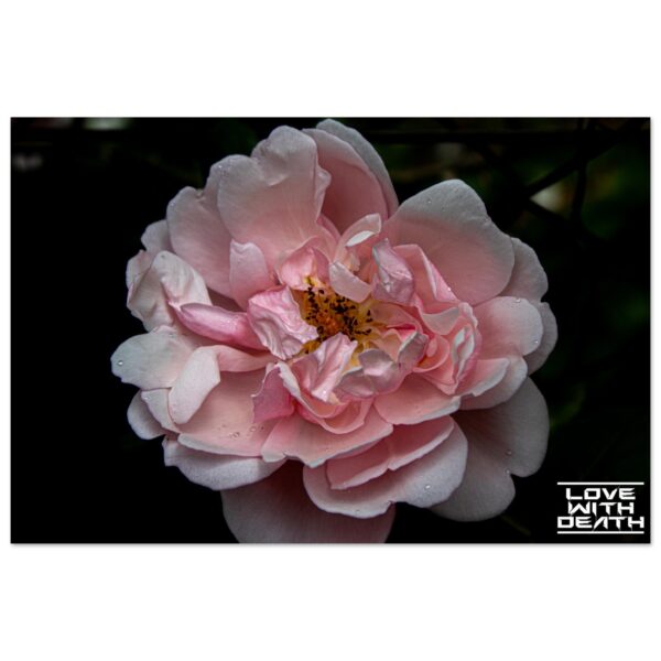 a5ed5bea-e0d3-44b2-83c9-e8378dc93ce7