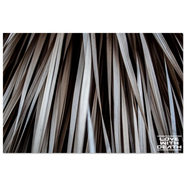 a8c13829-3f26-4be6-860a-2b76728b08c1