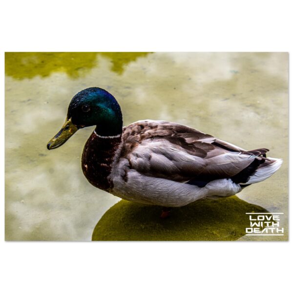 b0f173ad-cf58-42e2-bd80-d2517b1aafce