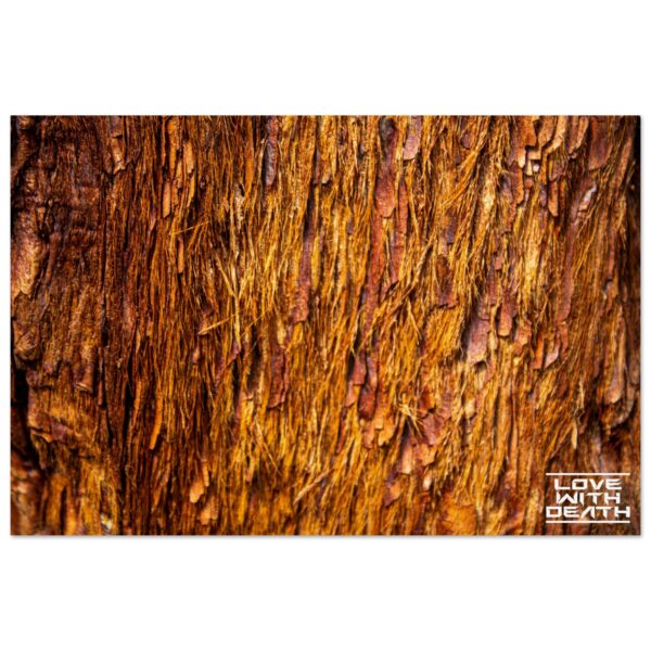 b4e514a1-d9ef-4727-afc2-6b1046bf5634