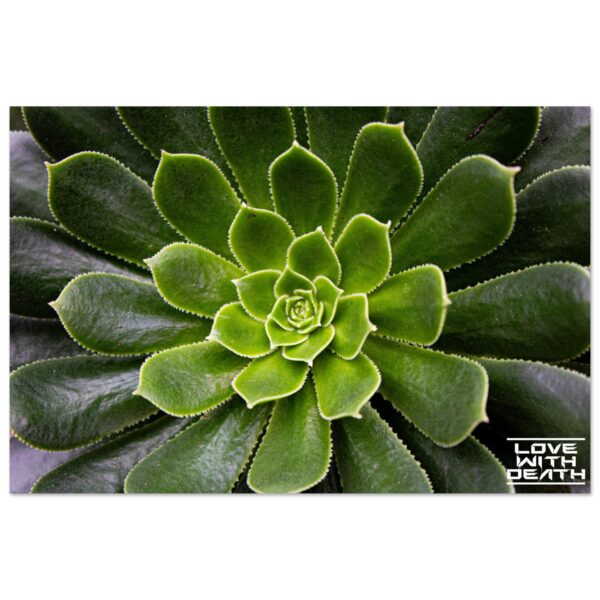 b73cfd1f-11b5-43c5-af48-cc94c3f27135