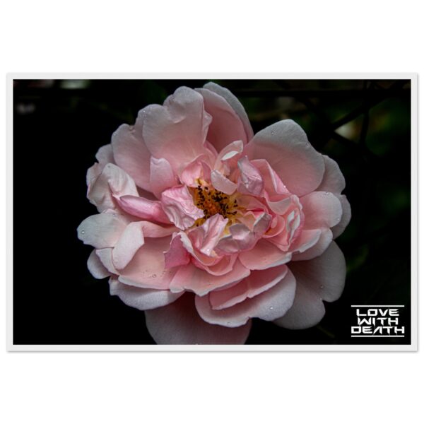 b8ef1857-2953-46d7-9cc2-49975dc09c54