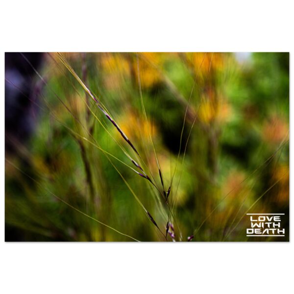 bd64e3db-8f5c-4433-89c6-e892b361f1cb