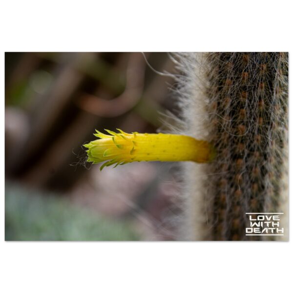 c683f082-0cb2-43e8-ba3b-3ea79e2b783f