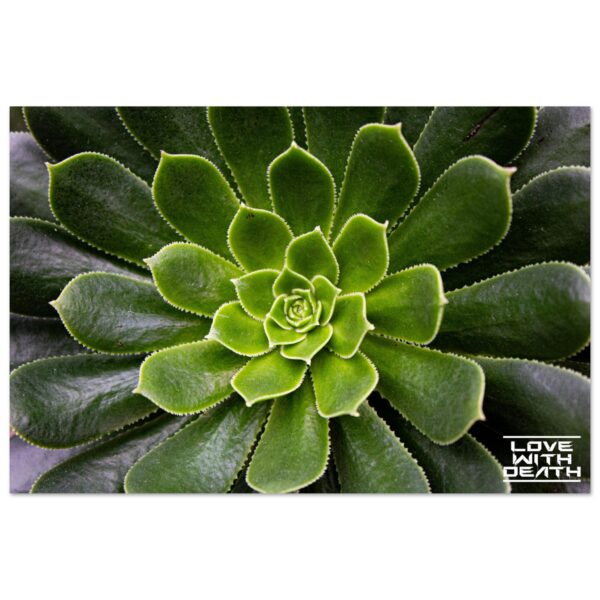 c968dbc9-9a80-4dc8-b651-e0e39130d916