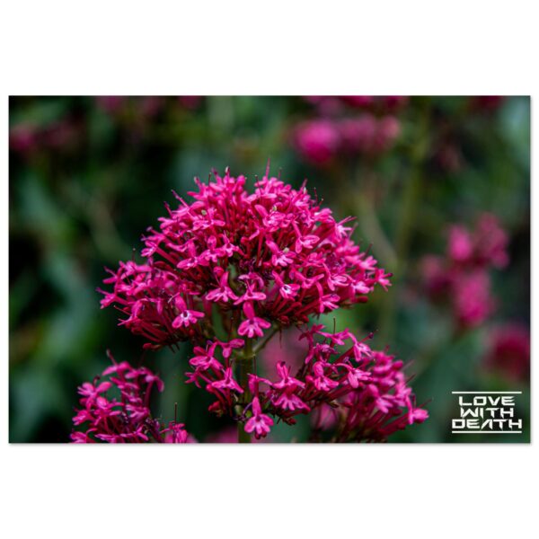 ccee8345-129f-4568-b5cb-ee30d05617b0