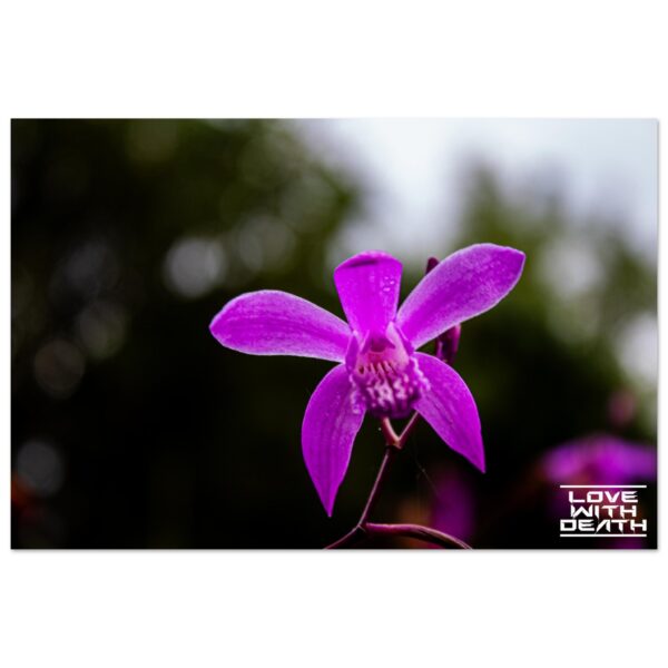 daf4dee9-55a5-4f0a-8cb0-3c615d2da6ea