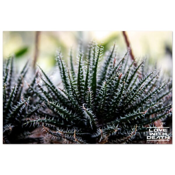 e4fc237d-3795-4828-b3f2-d291fa7834f3