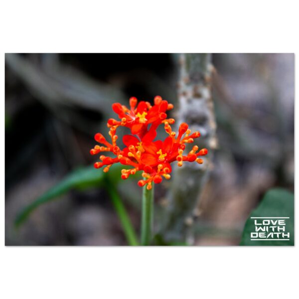 e7b681a1-a946-46de-a507-757bd1e30863