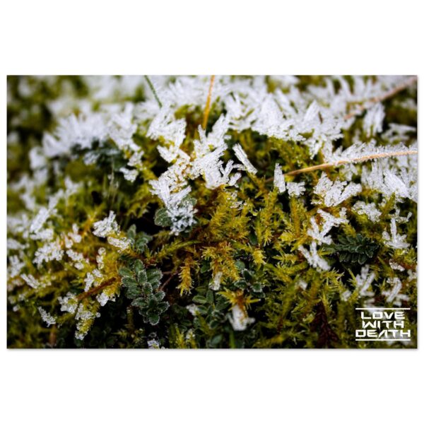 eb47958e-5e79-4c77-b6a0-3783fac70ebc