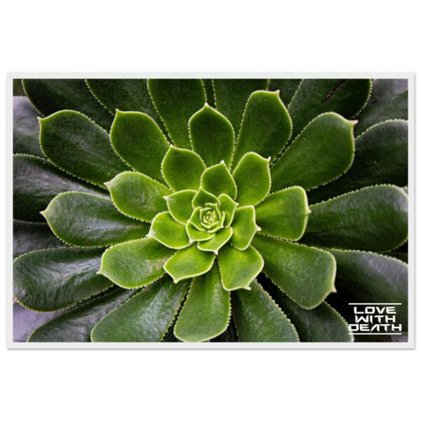 faca9bd6-4364-4f39-a078-ffde8f0e761f