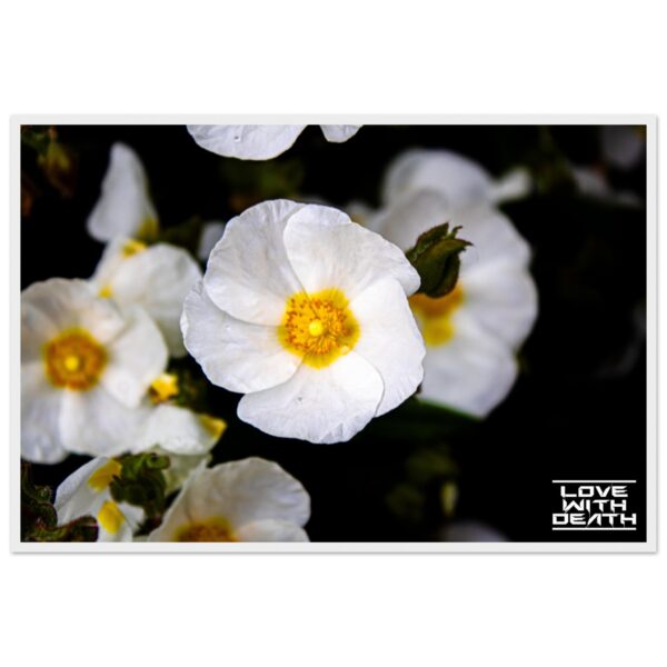 fb3284cf-ccee-4684-a116-50b97464da7a