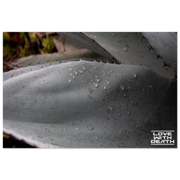 fbbb891b-4703-4e60-b3ea-a63df69d18f0