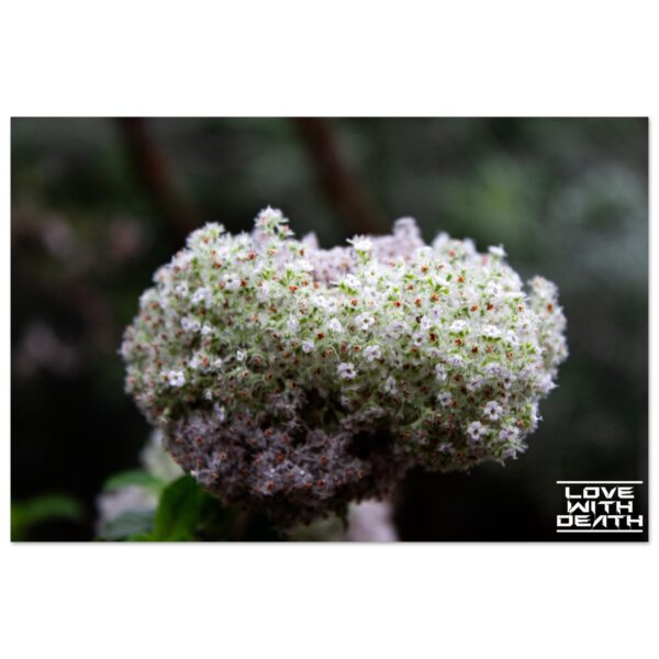 e3388033-1c16-4b46-b724-716ddd30759a
