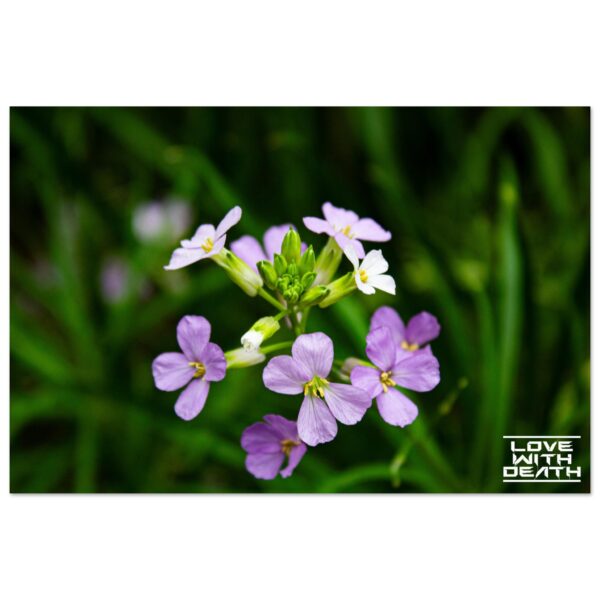 e51bbb01-b854-4eed-a1fb-ee180d5475ef